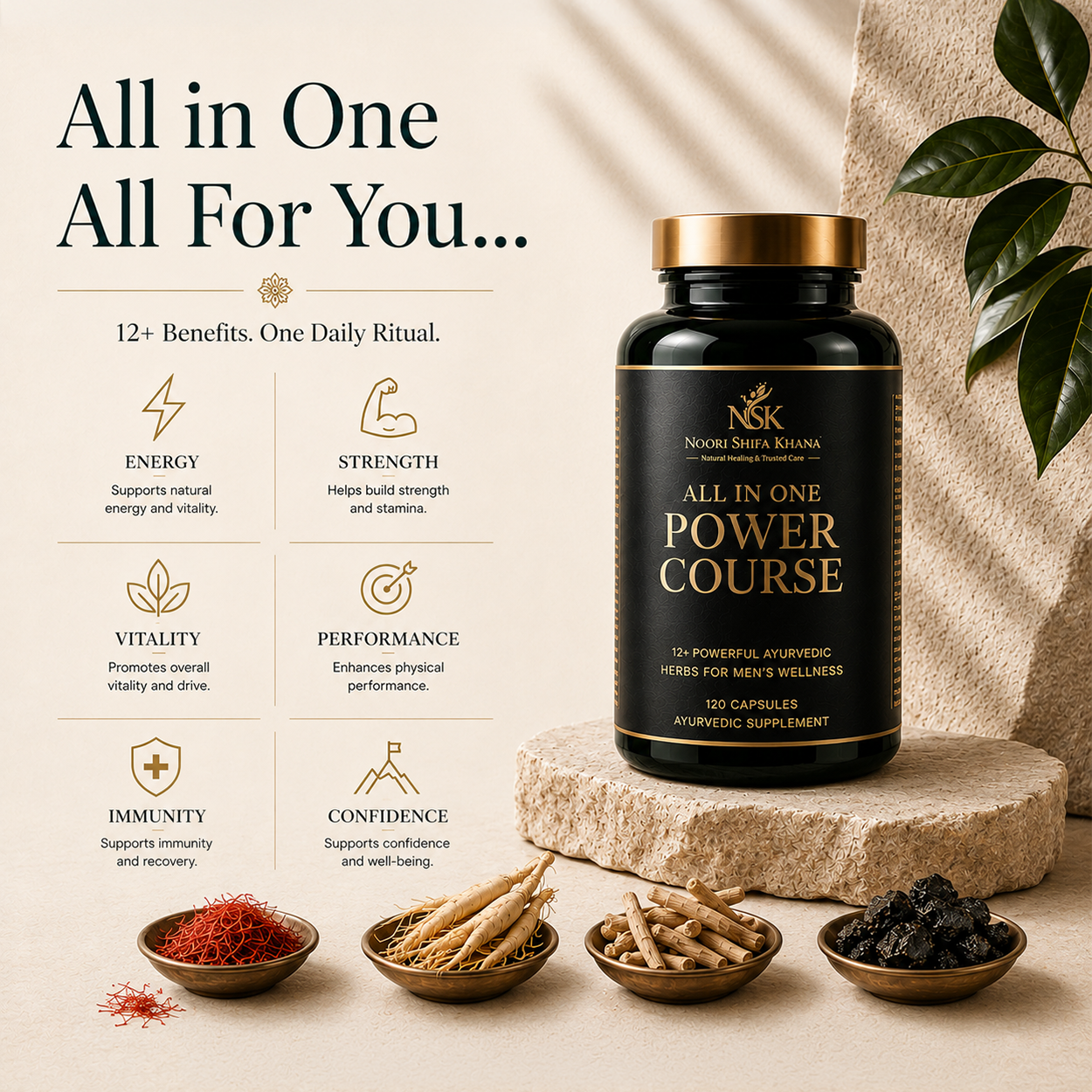 All In One Power Course